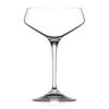 ARIA Coupe à Champagne Cocktail 33 Cl - Les 6