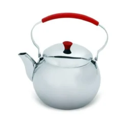 Bouilloire Col De Cygne Inox 3,5 L