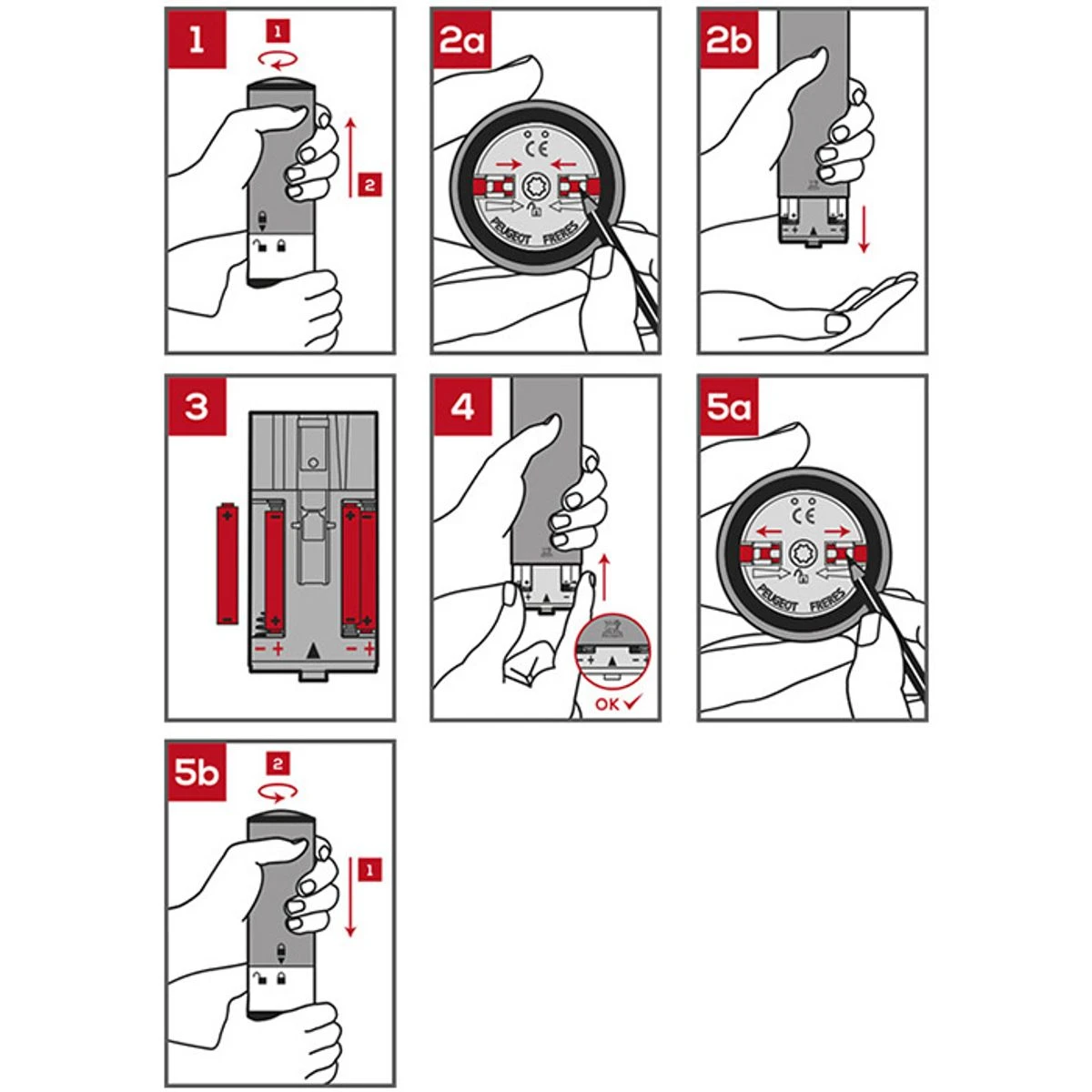 COFFRET Lumière Sur Le Poivre ZELI Moulin à Poivre électrique PEUGEOT Avec Poivre Tan Hoi SC 6 COFFRET Lumière Sur Le Poivre ZELI Moulin à Poivre électrique PEUGEOT Avec Poivre Tan Hoi SC – Image 6