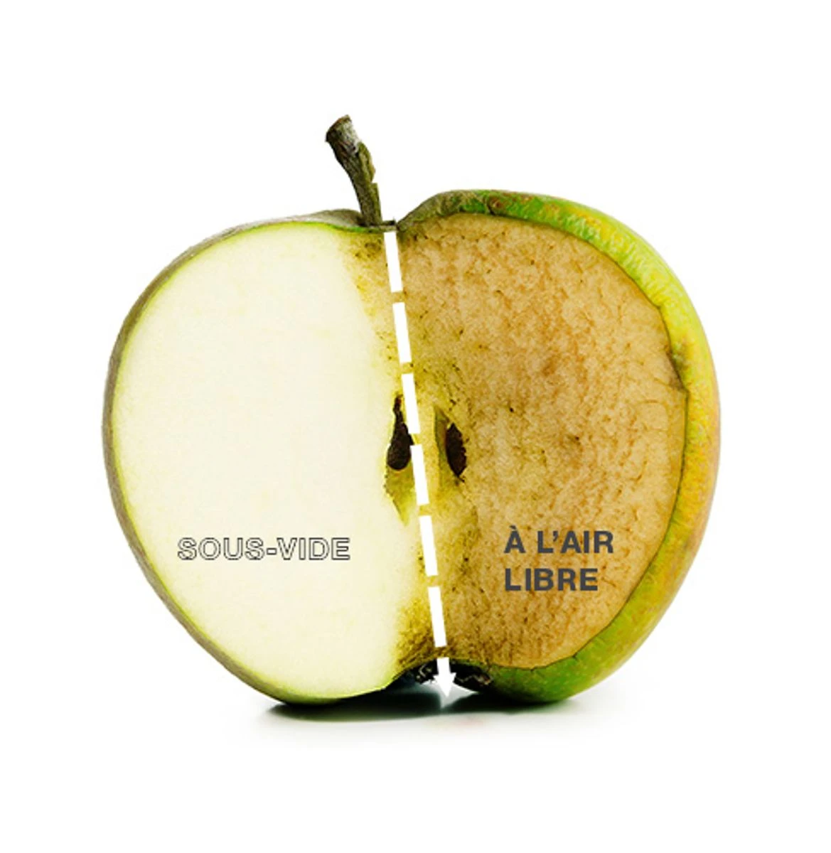 Extracteur De Jus électrique KUVINGS REVO830 Noir + Gourde Sous Vide PIKA 3 Extracteur De Jus électrique KUVINGS REVO830 Noir + Gourde Sous Vide PIKA – Image 3