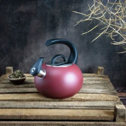 NEPTUNE Bouilloire à Sifflet Inox Induction CRISTEL 1,9L Rouge