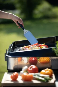 Plancha Gaz + Chariot + Capot Combo ENOSIGN 80 Noir Et Inox 36 Plancha Gaz + Chariot + Capot Combo ENOSIGN 80 Noir Et Inox -Maison Cuisine Série plancha gaz chariot capot combo enosign 80 noir et inox 16