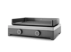 Plancha GAZ En Fonte Châssis Acier FORGE ADOUR 2 Feux MODERN 60