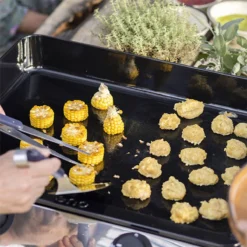 Plancha Gaz Fonte Fusion ENO 75 Inox -Maison Cuisine Série plancha gaz fonte fusion eno 75 inox 12